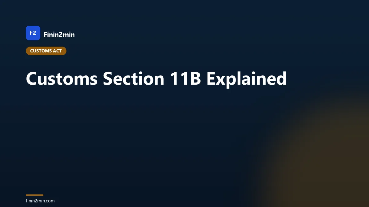 Customs Section 11B Explained