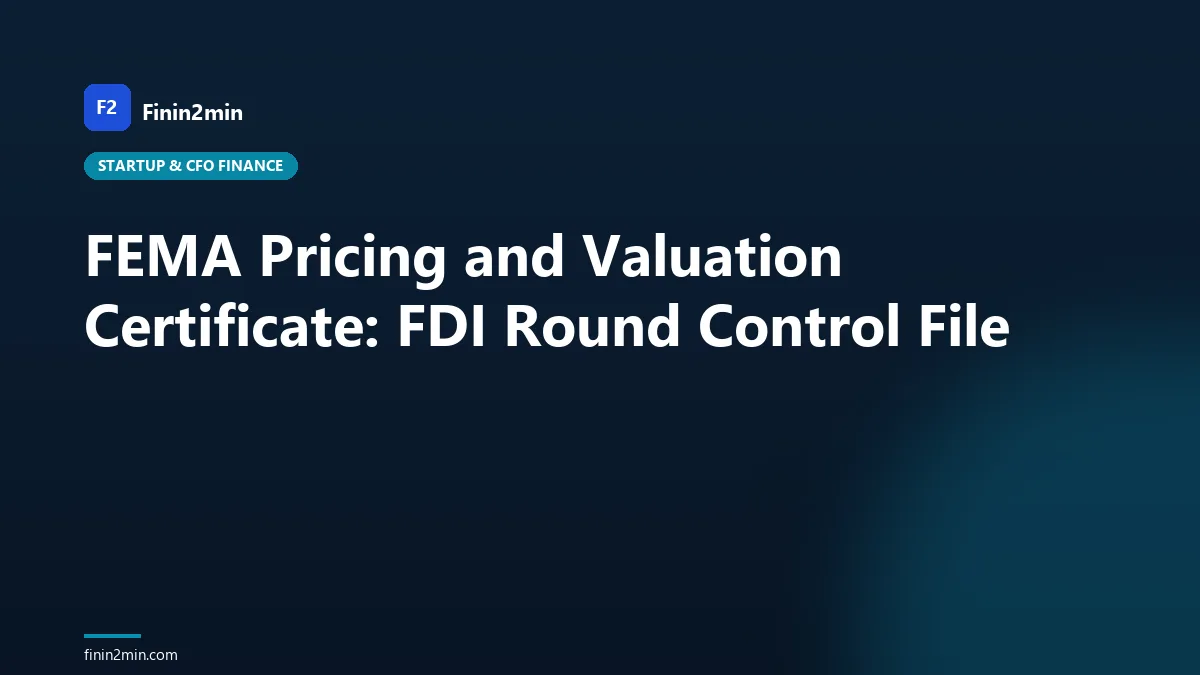 FEMA Pricing and Valuation Certificate: FDI Round Control File